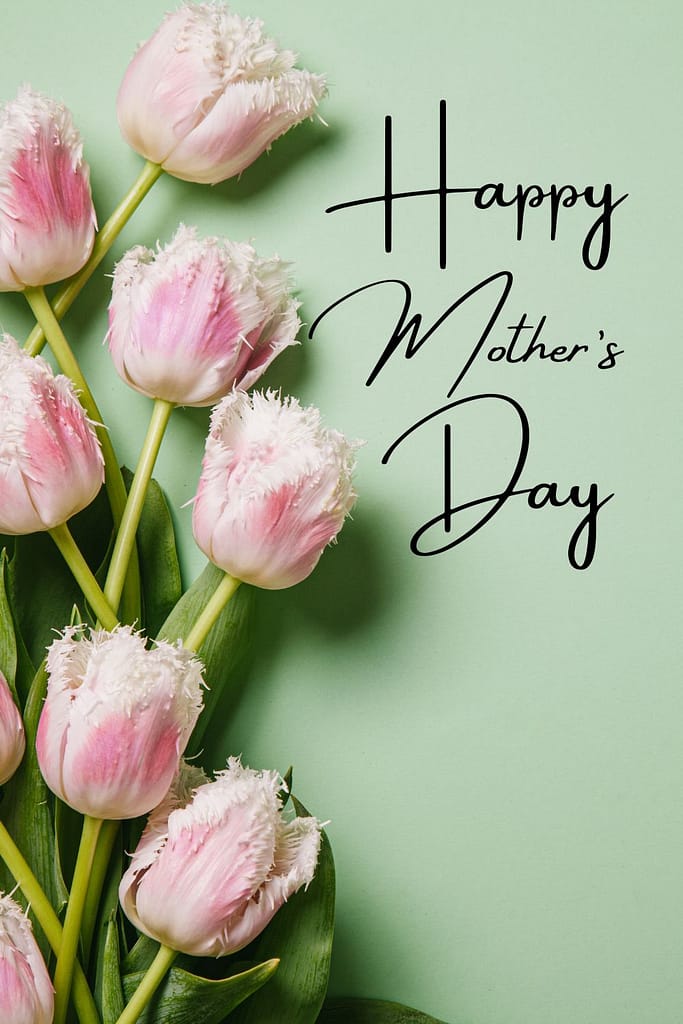 Happy Mother's Day - pink flower stems, over a light green background.